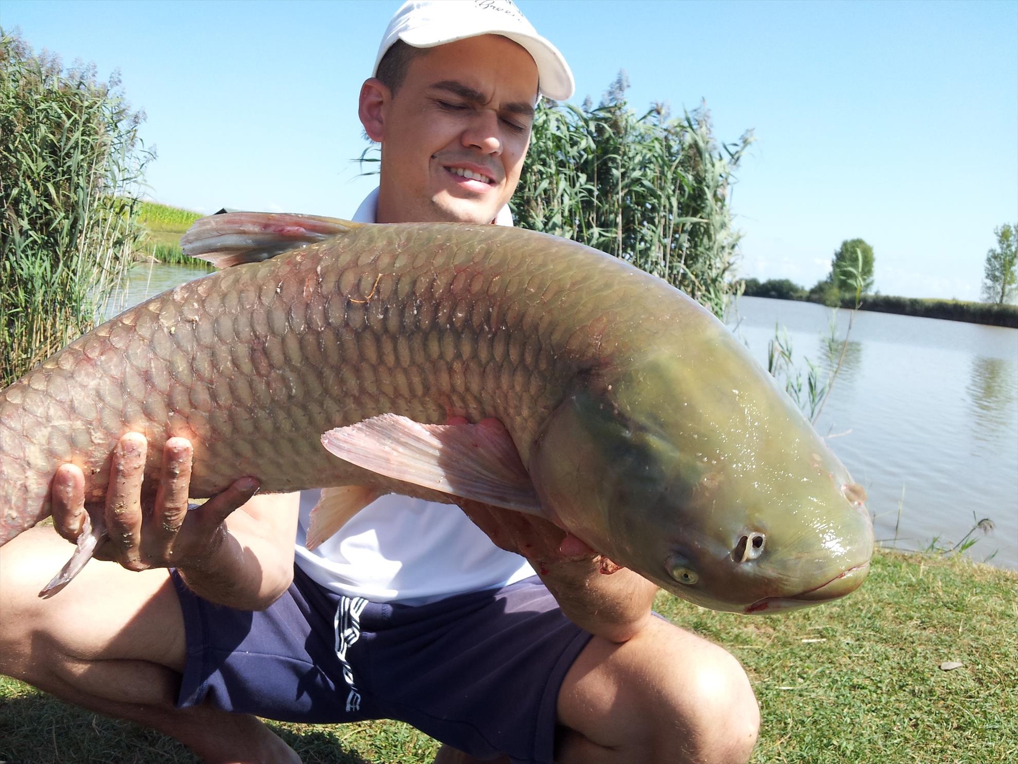 Lac Teiu  - 20140818113057.jpg